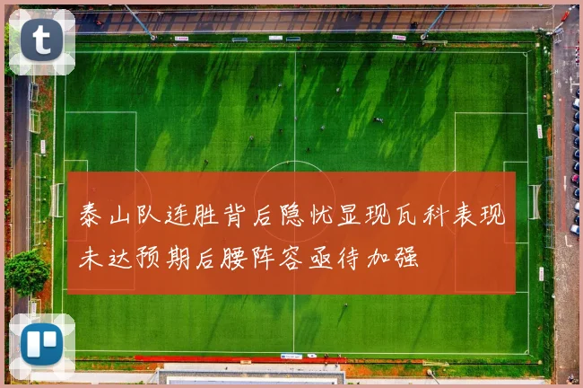 泰山队连胜背后隐忧显现瓦科表现未达预期后腰阵容亟待加强